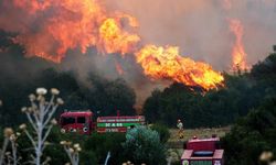 Minibüsten ormana sıçrayan yangın davası: 4 sanığa 7 yıla kadar hapis istemi