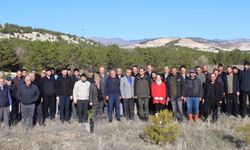 Beypazarı’nda “Alemlere Rahmet” Hatıra Ormanına 250 fidan dikildi