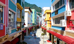 Ordu'da dış cephe seferberliği