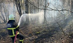Ordu’da son bir haftada 40 yangın