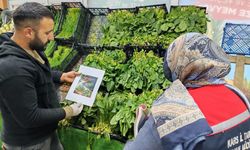 Kars İl Tarım Müdürlüğü’nden ıspanak uyarısı