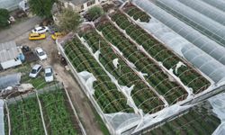 Demre’de hortum felaketi: Kapalı tarım alanlarında seralar zarar gördü