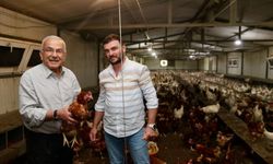 ''75 yumurta işletmesinden 65’i battı.''