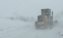 Artvin Ardanuç’ta Çığ: Ekipler bölgeye sevk edildi