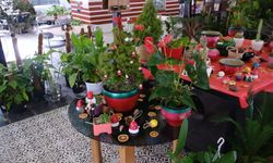 Yeni yılın renkleri ABB bitki evlerinde vatandaşla buluşuyor