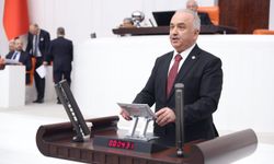 Ali Temür Enerji Bakanlığı bütçesi üzerine mecliste konuştu