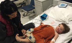 Ankara'da pitbull iki kardeşe saldırdı: Köpeğin sahibi gözaltına alındı