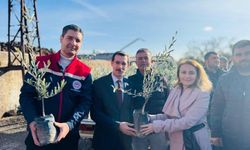 Bozdoğan'da 8 bin 700 fidan dağıtıldı