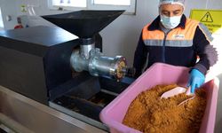 Didim’de atıklar mamaya dönüşüyor