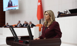 Elvan Işık Gezmiş; Bu bütçe halkın bütçesi değil