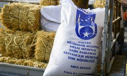 ABB’nin kırsal kalkınma destekleri sürüyor