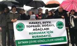 Batman’da çevre alarmı: “Yetkililerden neden hâlâ yanıt yok?”