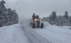 Karayolları 43. Şube şefliğinin karla mücadelesi