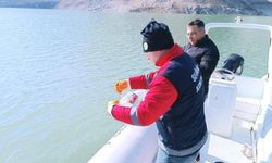 Kemer Barajı’nda kaçak avcılığa sıkı takip