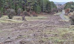 Belediye Kızak şenliği yapılacak pistte düzenleme yaptı