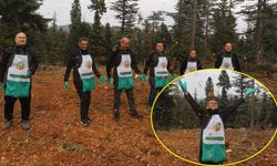 Sedir için seferberlik: 42 hektar alanda ekim