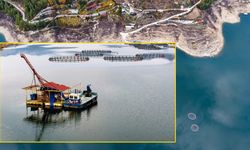 Karacaören Barajı’nda balıkçılık canlanıyor
