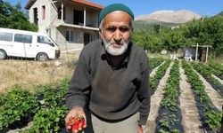 Isparta'da Hayır bahçesi yetim kaldı