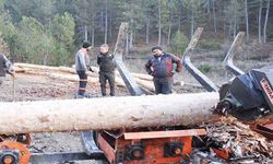 ORKÖY kredi destekleri meyvesini vermeye başladı