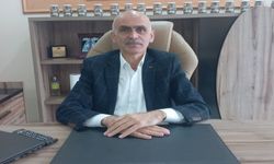 Fındık uyarısı: 'Hava Şartları Fındık İçin Tehlikeli'