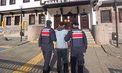 Jandarma dolandırıcılara göz açtırmıyor