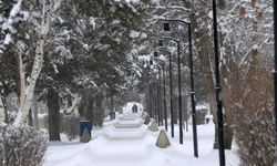 Türkiye’nin en soğuk şehri eksi 30,3 dereceyle Erzurum oldu