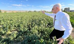 Prof. Dr. Mehmet Haberal, uyarıyor: Üretmeyen aç kalır, başkalarına muhtaç olur