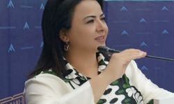 Hayat Aras yazdı: ''Çille - Yenigün - ISIAX - URUN - TOY…''