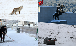 Yurdun bazı kesimlerinde kar etkili oldu