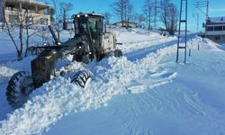 Büyükşehir kar esaretine izin vermiyor