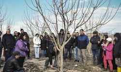 ABB'den meyve ağaçlarının gelişimine destek