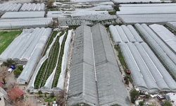 Antalya'da Sel Felaketi İle Bakan'dan Destek Açıklaması