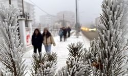 Ardahan’da dondurucu soğuk: Göle eksi 36’yı gördü