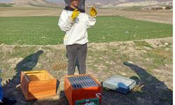 Halk Eğitim Merkezi Müdürlüğünden uygulamalı arıcılık kursu