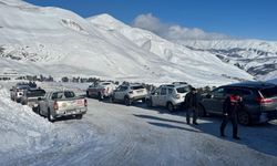 Artvin’de çığ altında kalan çoban 3 gündür aranıyor