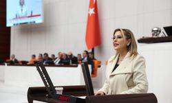 Elvan Işık Gezmiş; Giresun'u yok sayamazsınız