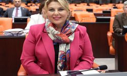 Elvan Işık Gezmiş; Emekli maaşı lütuf değil