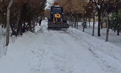 Eyyübiye'de sokak sokak kar temizliği