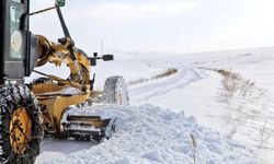 Kars’ta kar ve tipi ulaşımı olumsuz etkiledi: 170 köy yolu kapandı