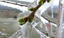 Antalya’da yayla dondu