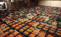 Antalya ihracatının yüzde 57’si tarımdan