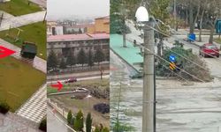 Şiddetli rüzgarda ağaçlar devrildi kamelyalar uçtu