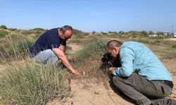 Endemik türü koparmanın cezası 699 bin lirayı aşıyor