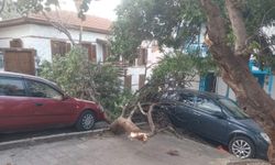 Antalya Kaş’ta fırtınanın izleri gün ağarınca ortaya çıktı