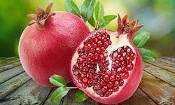 Nar ihracatı 2025’te 162,5 milyon doları aştı