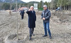 Gölcük tabiat parkı yeşilleniyor