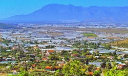 Sahil kesimdeki örtü altı üreticilere soğuk hava uyarısı