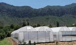 Seralarda yıkım hasat sonrasına ertelendi