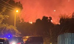 Antalya’nın Serik ilçesinde orman yangını