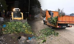 Isparta Belediyesi’nden yaban hayvanlarına kış desteği